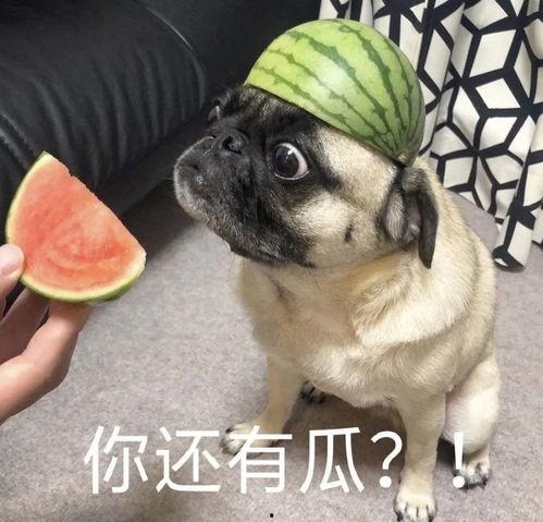 违规操作吃瓜,吃瓜群众围观事件真相