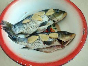 吃瓜鱼大嘴,揭秘娱乐圈背后的秘密与八卦