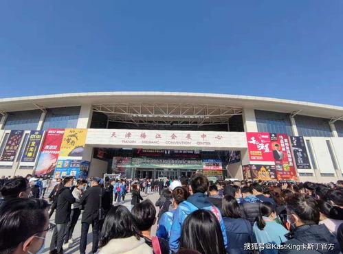 保定吃瓜广场事件,一场网络热议背后的真相与反思