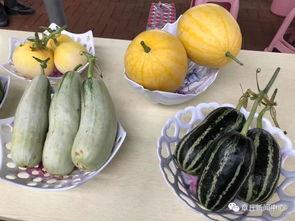 章丘怪阿姨吃瓜,揭秘网络红人的幕后故事