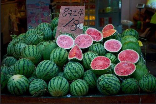 吃瓜网上海,吃瓜网上海，带你领略魔都美食与娱乐新风尚