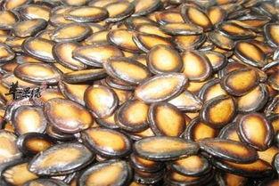 吃瓜大便有瓜子,吃瓜大便中的瓜子奥秘