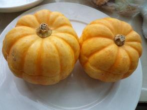 瓜蛋怎么吃正确,探索正确的食用方法