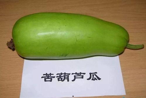 河南吃的葫芦瓜叫啥瓜啊,河南特色葫芦瓜的别称揭秘