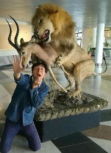 带你吃瓜老狮,揭秘带你吃瓜老狮的传奇故事