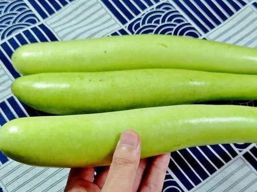 吃瓜只吃老人的瓜,揭秘老年圈层中的“吃瓜”现象