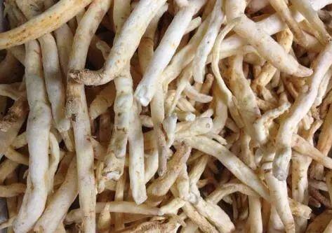 干瓜参怎么吃,解锁健康美味新体验