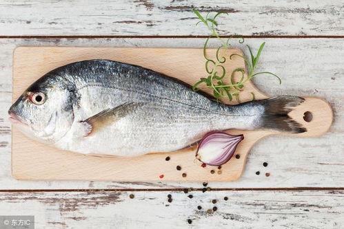 吃瓜鱼大嘴,揭秘娱乐圈背后的秘密与八卦