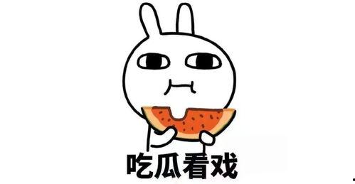 吃瓜同学,网络热词背后的文化现象