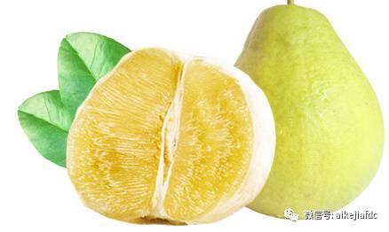 爱柚吃瓜,揭秘水果界的甜蜜诱惑与趣味故事