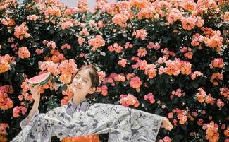 和服女孩在线吃瓜