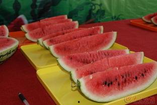 刘大瓜吃生鱼,舌尖上的刺激之旅