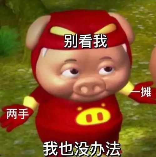 猪猪侠吃瓜老板,瓜田寻宝记