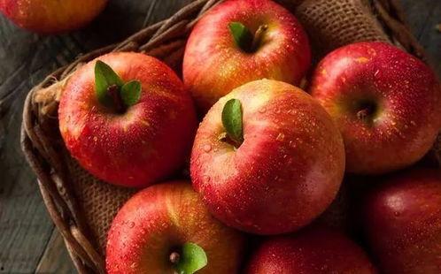 西昌苹果13吃瓜,揭秘科技与美食的跨界融合