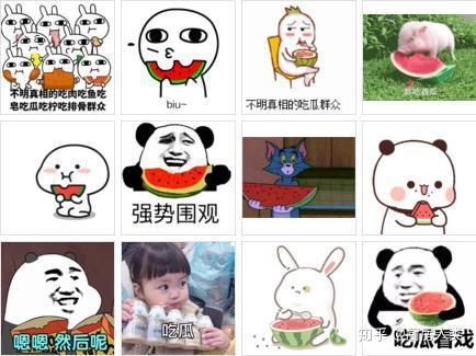 带你吃瓜网络用语,揭秘网络热词背后的趣味与真相